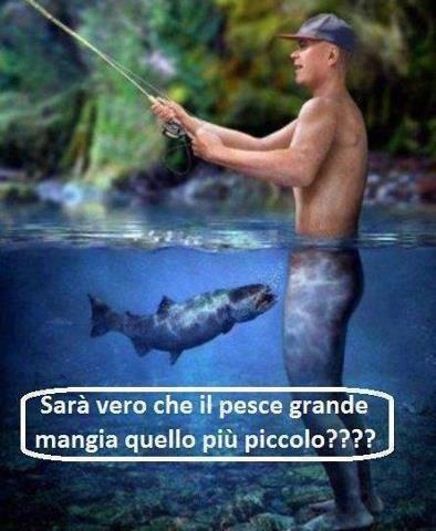 Immagine Divertente - 28/10/2012