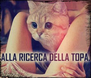 Immagine Divertente - 21/05/2012