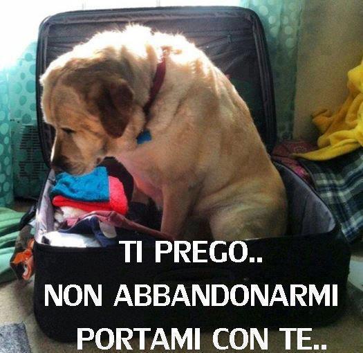 PORTAMOLI CO' NOI !! - 10/07/2012