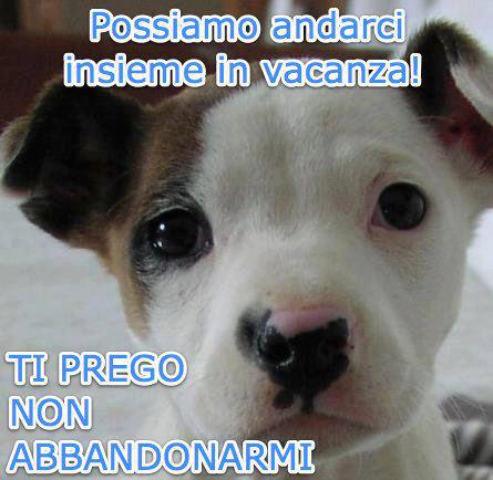 NUN ME ABBANDONA' !! - 11/07/2012