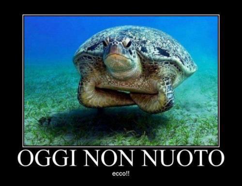 OGGI NUN ME VA !! - 11/07/2012
