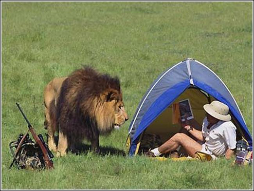 Immagine Divertente - 28/03/2012