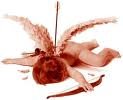 T.V.U.M.D.B. ☆¤¤☆ TE VOJO UCCIDE MENTRE DORMI BASTARDO !! - 04/03/2012