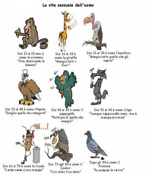 'A VITA SESSUALE DELL'UOMO !! - 13/03/2012