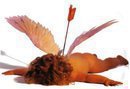 FORI UNO !! ... E ADESSO ANNAMO A CERCA QUA STRONZA DA DEA BENDATA !! - 04/03/2012