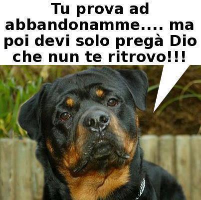 SI TE PIJO !! - 24/07/2012