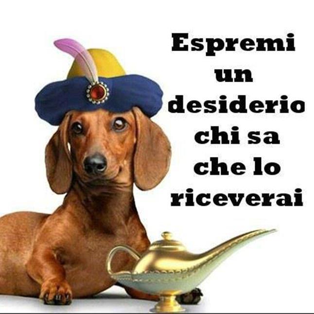 Immagine Divertente - 27/11/2012