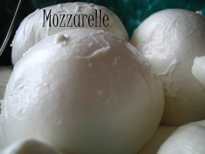 Ho fame de: MOZZARELLA - 30/04/2012