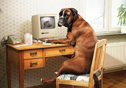 AO', CHE STRESS STO FACEBOOK... TRA NOTIFICHE, POSTA, TAGGATE, OPS C'E' UN ERRORE... TACCI VOSTRA E' PROPRIO 'NA VITA DA CANI !! - 11/03/2012