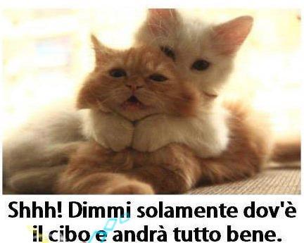 DAJE PARLA !! - 23/05/2012