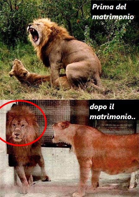 Immagine Divertente - 23/03/2012