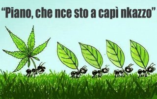 Vignetta Divertente - 17/05/2012