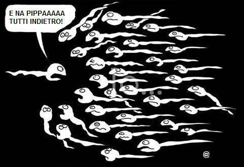 Immagine Divertente - 18/05/2012