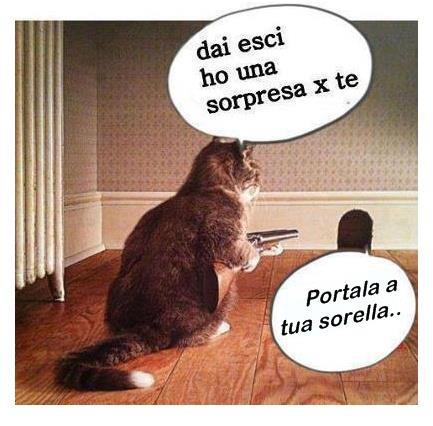 Vignetta Divertente - 29/03/2013