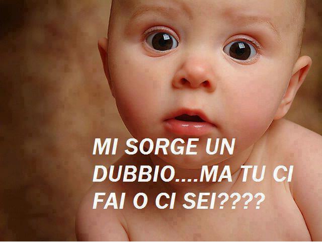 Immagine Divertente - 14/04/2013