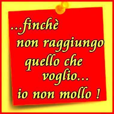 NUN BISOGNA MAI MOLLA' !! - 28/04/2013