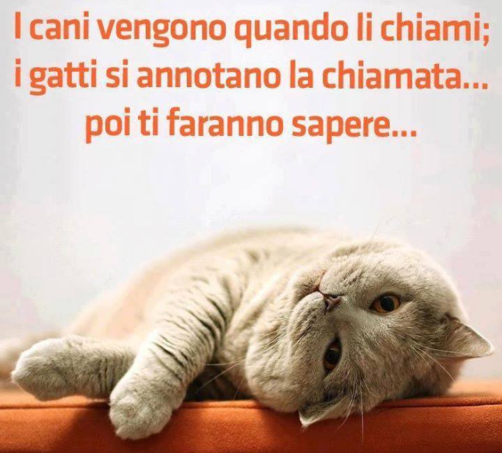 Immagine Divertente - 21/09/2013