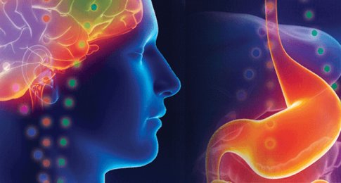 IL SECONDO CERVELLO: LA PANCIA SENTE, AGISCE E RICORDA PIU' DELLA TESTA - 23/03/2017