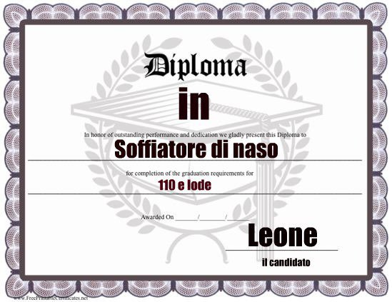 Un diploma per ogni segno zodiacale: LEONE - 27/04/2012