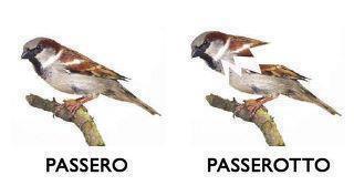 Immagine Divertente - 03/05/2012
