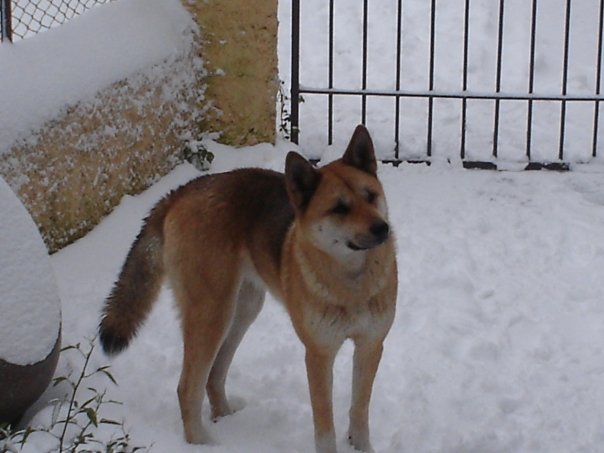 AKI - 30/03/2012
