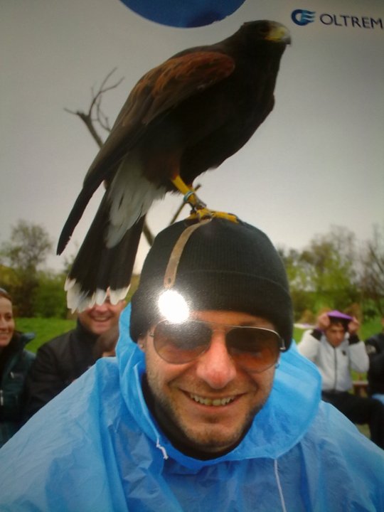 ALE - 29/04/2012