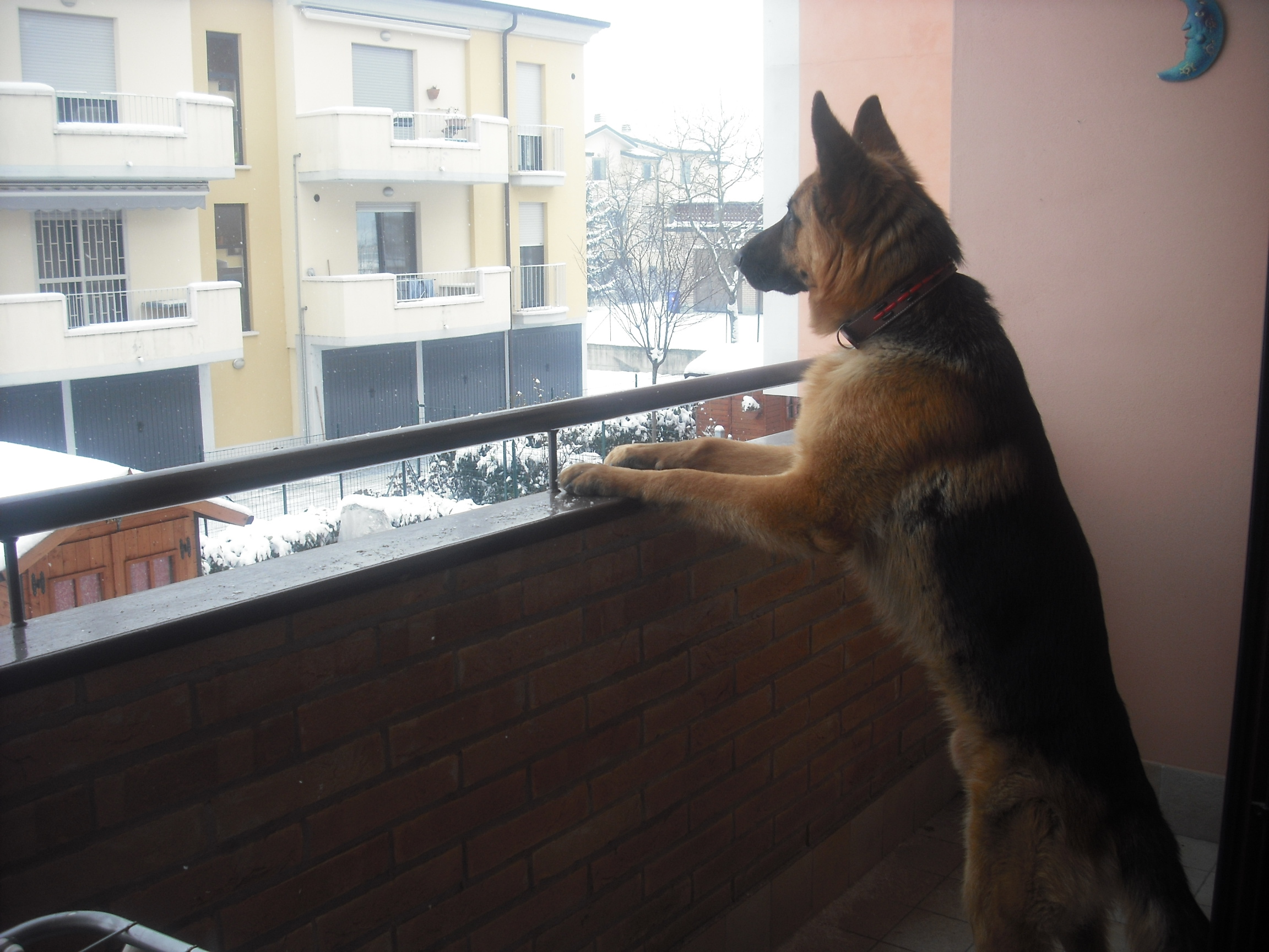 ARES - 31/03/2012