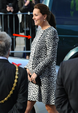 NESSUNO SI ASPETTAVA QUESTO DA KATE MIDDLETON: QUEL DETTAGLIO NON E' PASSATO INOSSERVATO - FOTO - 12/03/2015