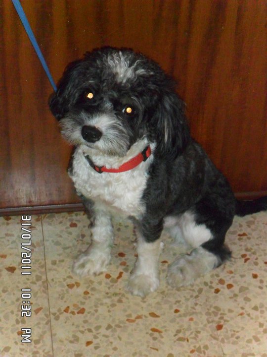 BILLY - 31/03/2012