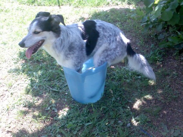 BIMBA - 31/03/2012