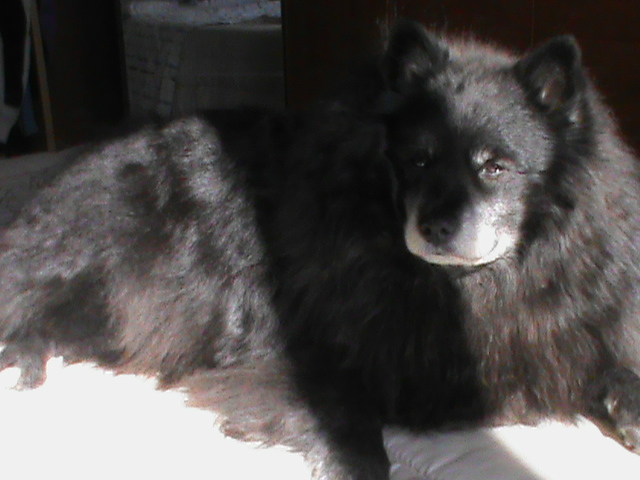 BLACK - 31/03/2012