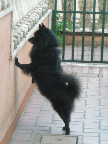 BLACK - 31/03/2012