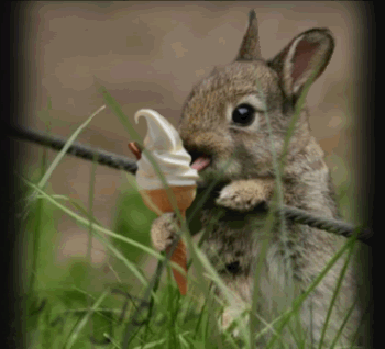 AR DOLCE NUN SE PO' DI DE NO !! - 08/04/2013