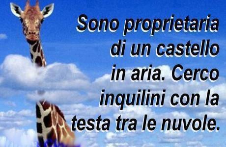 Immagine Divertente - 03/04/2013