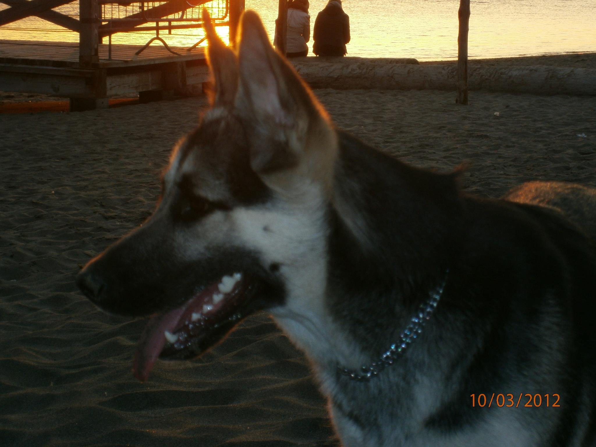 CLARA - 31/03/2012