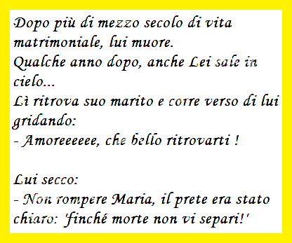 Immagine Divertente - 19/07/2013