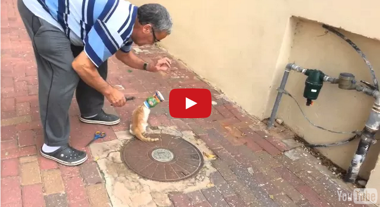 SENTE UN LAMENTO, QUELLO CHE SCOPRE E' INCREDIBILE - VIDEO - 21/04/2015