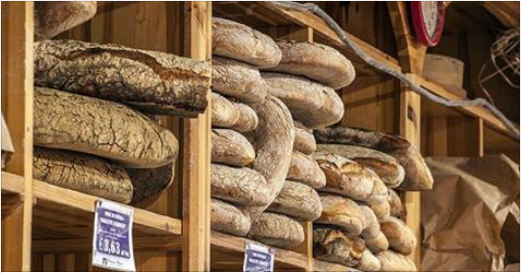 ''DOPO IL TERREMOTO NESSUNO COMPRA IL PANE, STIAMO MORENDO...'' - 28/11/2016