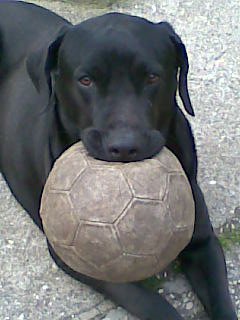 ETTORE - 31/03/2012