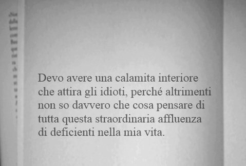 Immagine Divertente - 02/07/2013