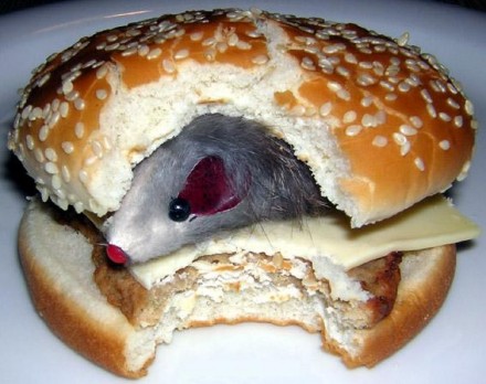 TROVA UN TOPO NELL'HAMBURGER, GLI VIENE ORDINATO: ''PULISCI IL PANINO E SERVILO'' - VIDEO SHOCK - 05/06/2014