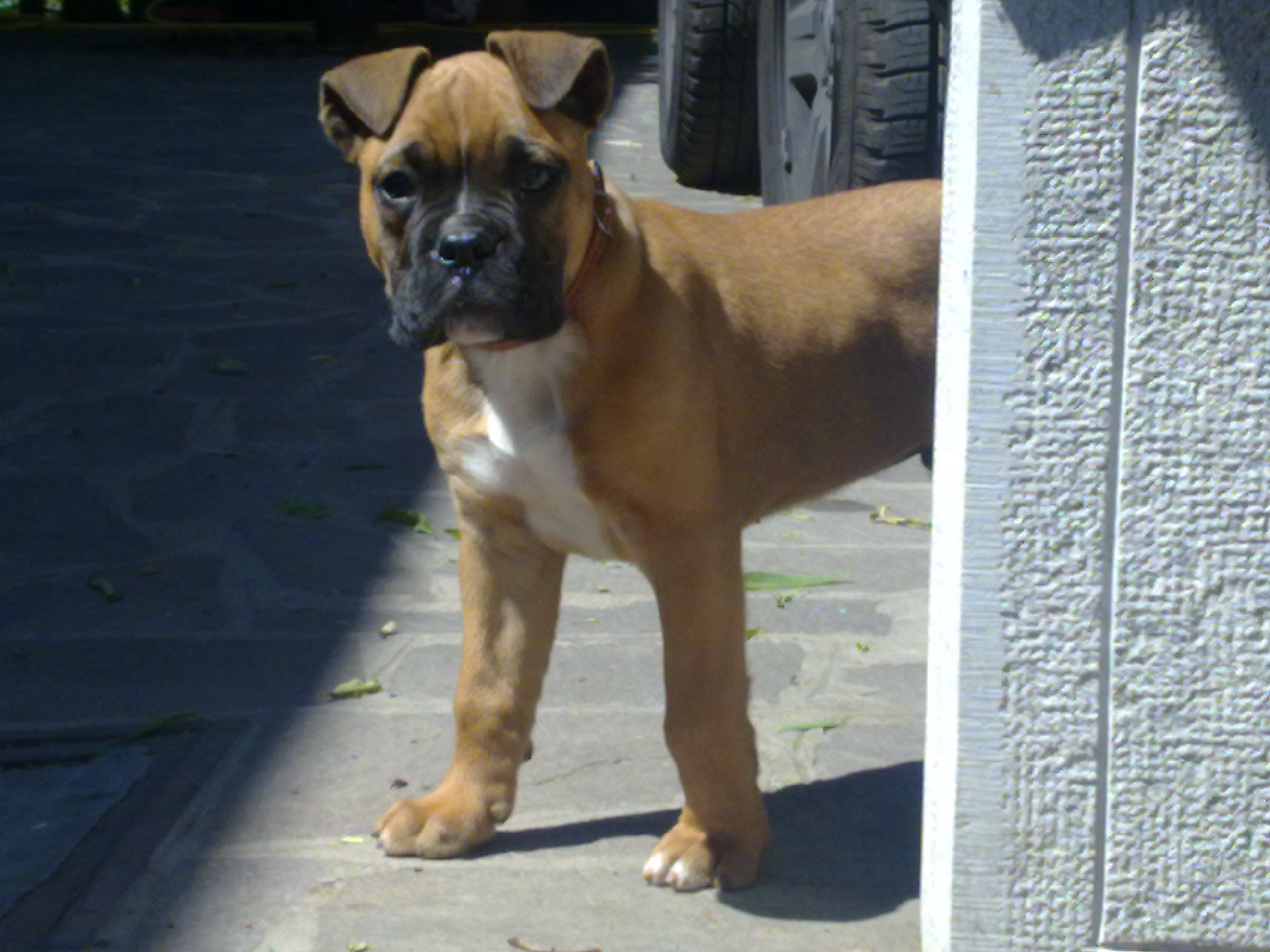 GIGGI - 31/03/2012