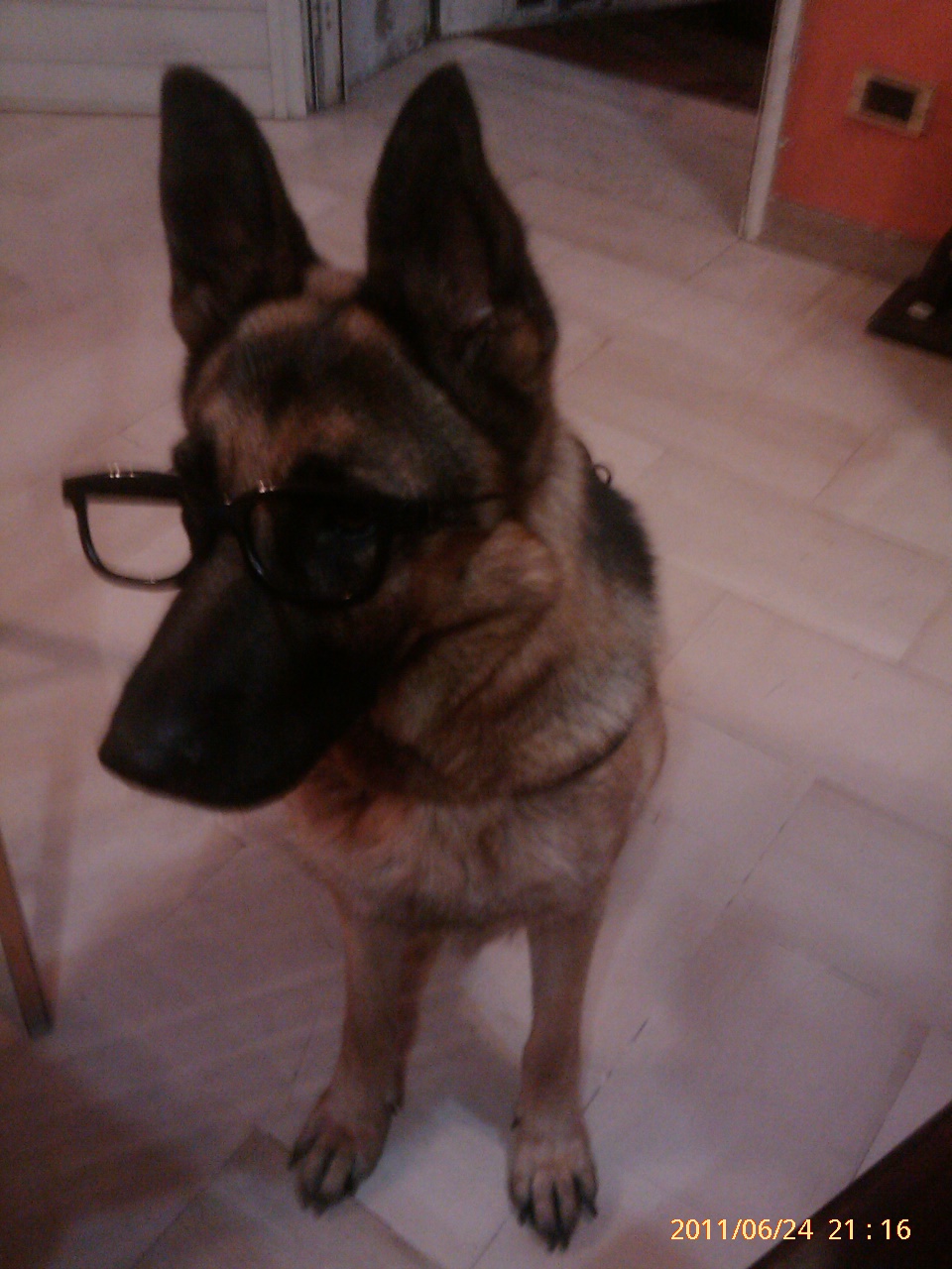 GIOVANNA - 31/03/2012