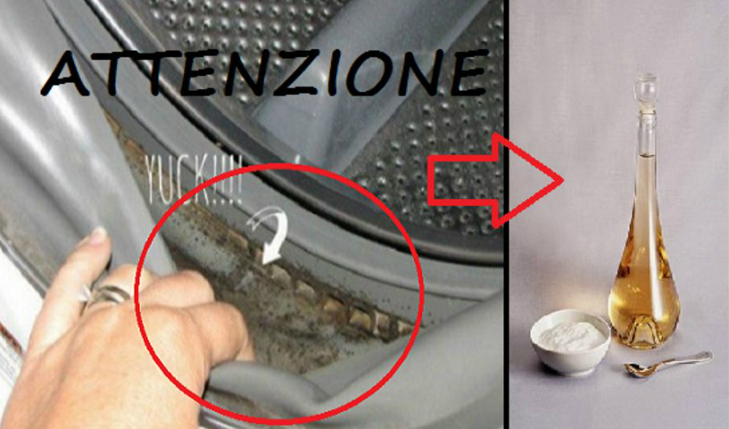 OGNI LAVATRICE LI HA E SONO PERICOLOSISSIMI: ECCO COSA SONO E COME ELIMINARLI - 11/01/2017