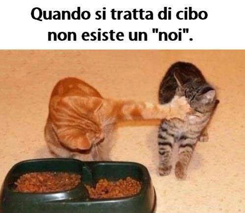 Immagine Divertente - 06/05/2013