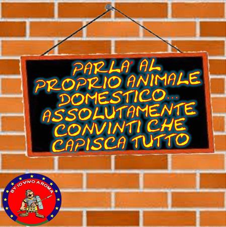 PARLA’ AL PROPRIO ANIMALE DOMESTICO… ASSOLUTAMENTE CONVINTI CHE CAPISCA TUTTO - 11/04/2012