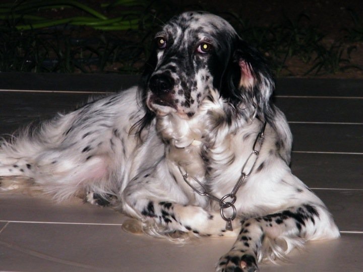 JACKIE - 31/03/2012