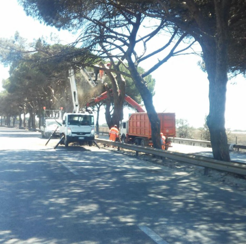 ATTENZIONE, DOMANI PONTINA CHIUSA PER IL TAGLIO DEGLI ALBERI E LA MESSA IN SICUREZZA DELLA STRADA - 26/07/2016