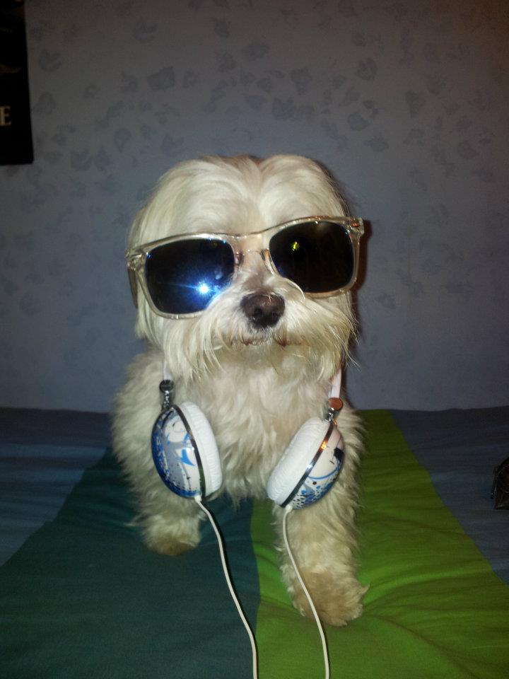 LEO - 31/03/2012