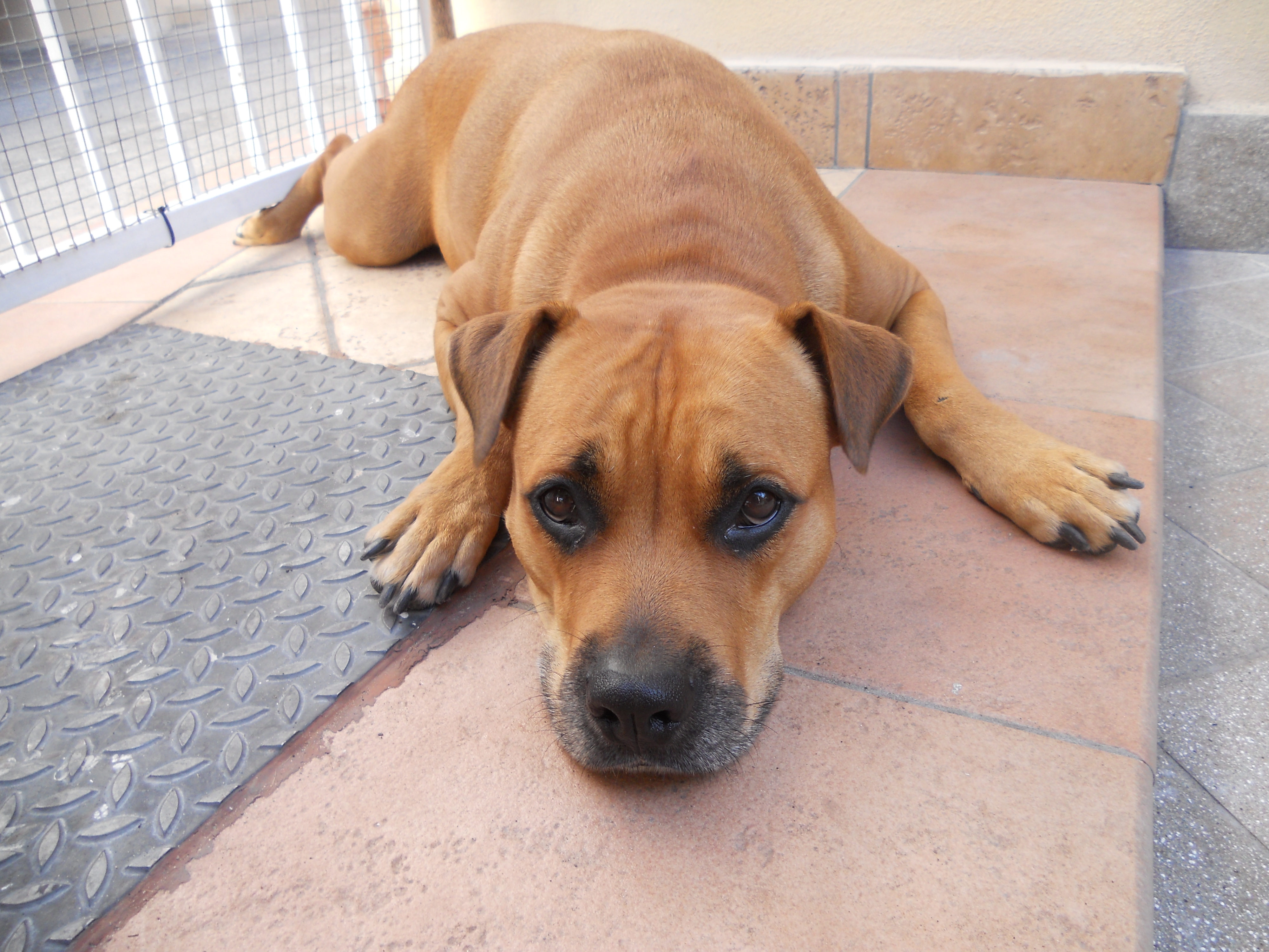 LOLA - 31/03/2012